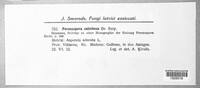 Image Associated With the Occurence